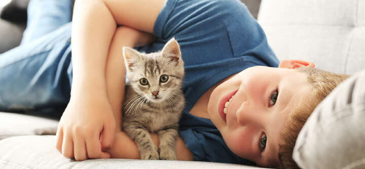 themenwelt themeneinstieg katzenfutter 1600x740